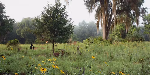 Walk and Talk at Prairie Creek Conservation Cemetery 