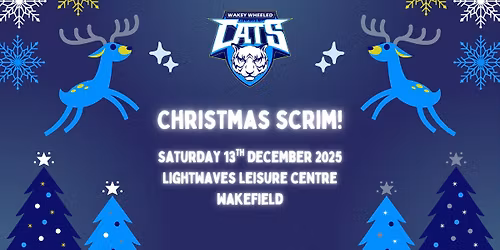 Merry Catmas! Wakey Wheeled Cats Christmas Scrim!