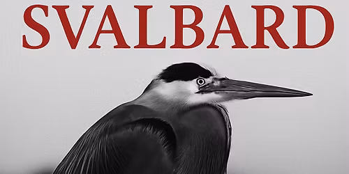 SVALBARD (UK) - FINAL AUSTRIA SHOW