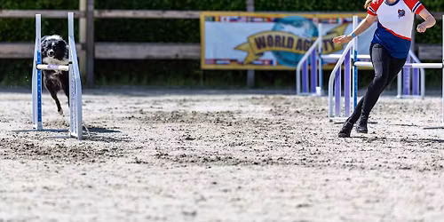 Agilitykurs m\/Isabelle Simonsen 21.-22. februar 2026