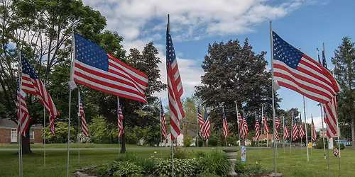 Field of Flags