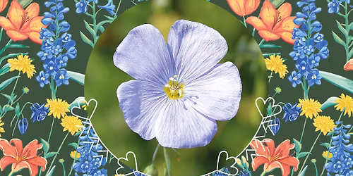 S\u00e5 lin med Steneg\u00e5rd