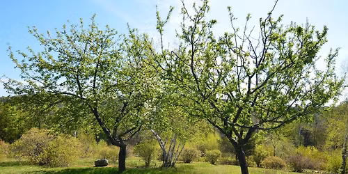 Pruning Class with Fred Frey & Oscar Ventura