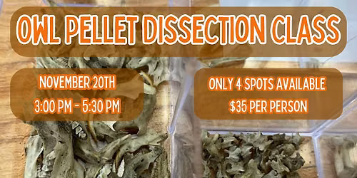 Owl Pellet Dissection Class - November 2026