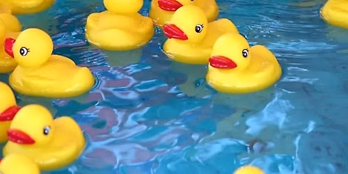 Jefferson County Youth Shelter 12th Annual Duck Race