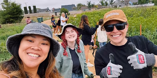Irby Park Native Garden Volunteer Day