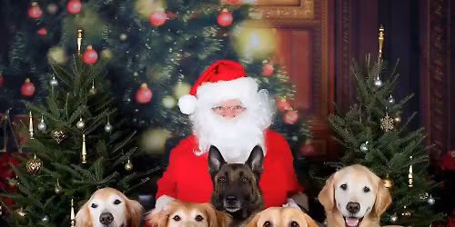 Paws and Claus \ud83c\udf84\ud83c\udf85