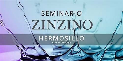 Seminario ZINZINO Hermosillo