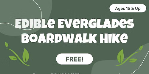 Edible Everglades Boardwalk Hike