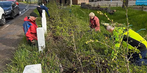 Saturday Conservation Volunteering Session