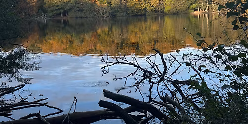 Op og ned i skovene i Slagelse - 16,7 km