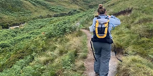 Hill and Moorland Leader Training