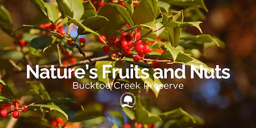 Nature\u2019s Fruits and Nuts ~ Bucktoe Creek Preserve