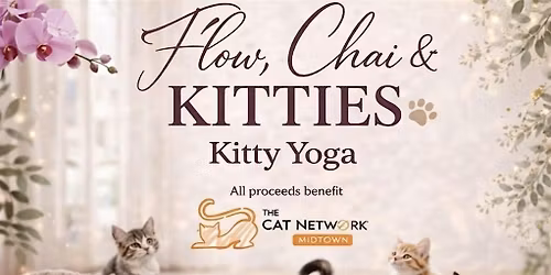 Yoga with Cats!
