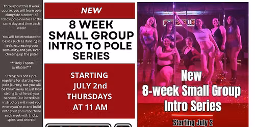 New 8 Week Small Group Intro to Pole Series July 2nd!