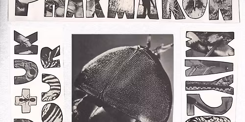 PHARMAKON (US) + BOLT RUIN (BE)