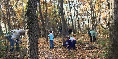 Monthly Buckthorn Removal Day