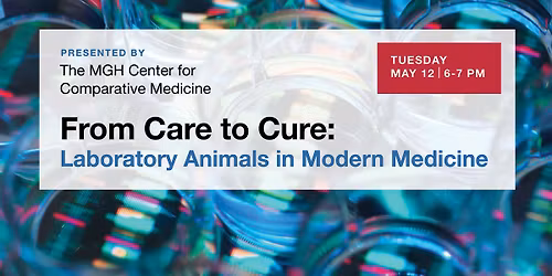 From Care to Cure: Laboratory Animals in Modern Medicine