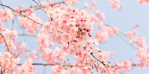 Brewster In Bloom Concert