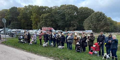 Summer West Midlands Westie Walka