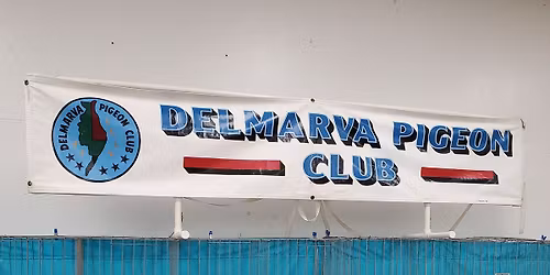 DelMarVa Pigeon Club Winter All Breed Show