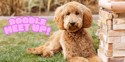 Doodle Meet Up