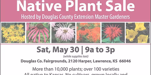 Native Plant Sale