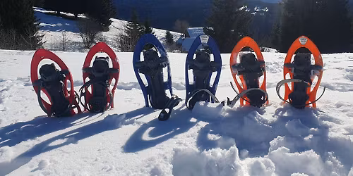 Snowshoe Half Day for All Levels