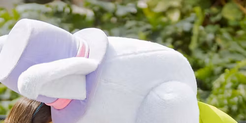 Photos with the Easter Bunny