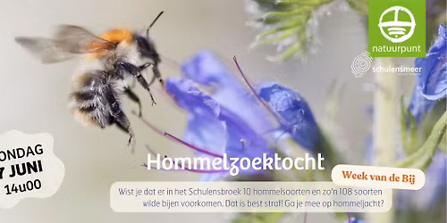Hommelzoektocht | Week van de BIJ in het Schulensbroek