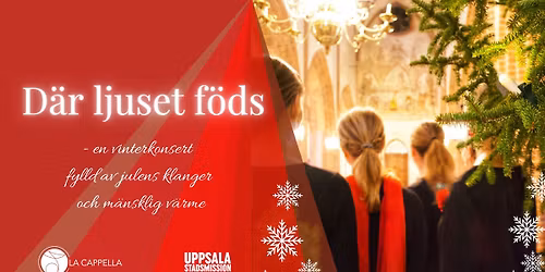 D\u00e4r ljuset f\u00f6ds