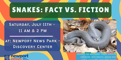 Snakes: Fact vs. Fiction