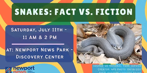 Snakes: Fact vs. Fiction