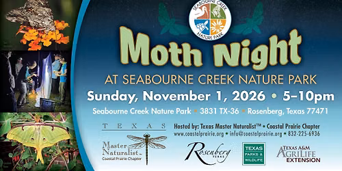 Moth Night at Seabourne Creek Nature Park