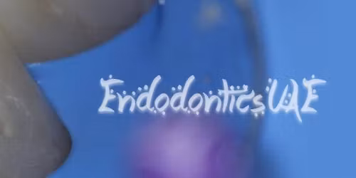 Style Italiano Middle East summit