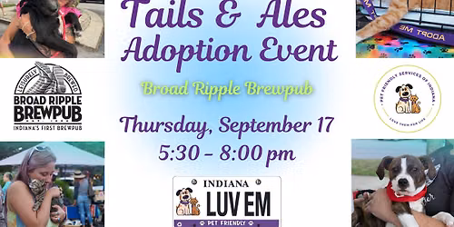 Tails and Ales Adoption Event