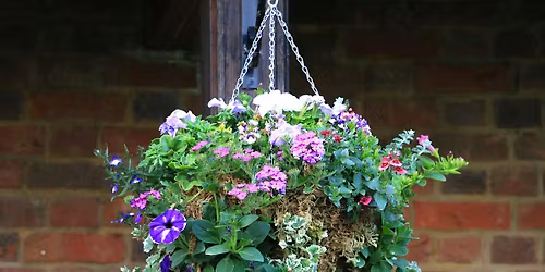 First  Summer Container and Hanging Basket Workshop