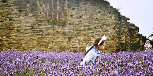 Easter Holiday Activities at Sheffield Manor Lodge \u2013 Week 2