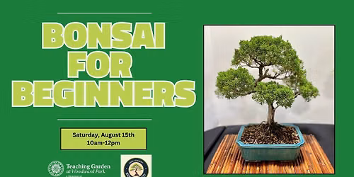 Bonsai for Beginners