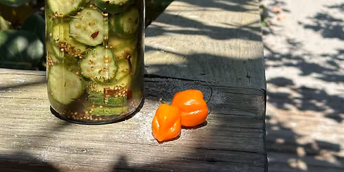 Space Coast Pickle Festival 2027
