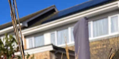 Willow Plant Supports @ Babylon Eco Centre