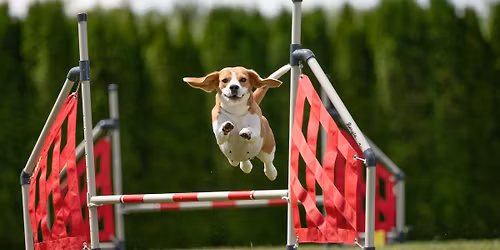 Hranick\u00e9 Hr\u00e1tky