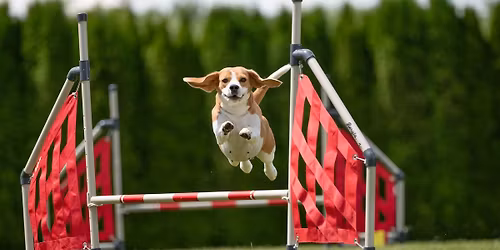 Hranick\u00e9 Hr\u00e1tky