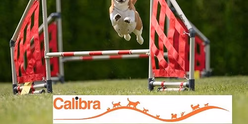 Hranick\u00e9 Hr\u00e1tky 2026 s CALIBROU