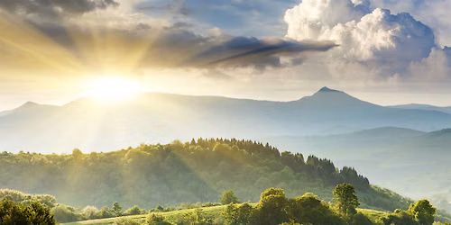 Sustainability for competitiveness: Insights from business leaders