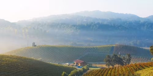 Caymus Wines Expo x Cork It Gainesville