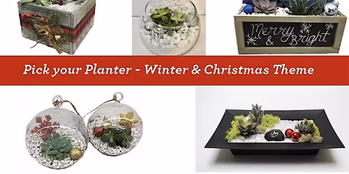 Relax Before the Holidays: Build Your Own Succulent Terrarium