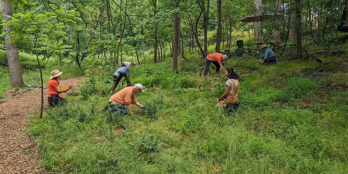 Stewardship Workday: Reforestation Maintenance at the Confluence!