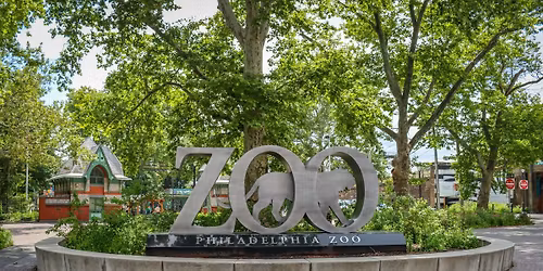 Passover Celebration