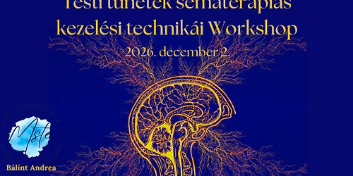 Testi t\u00fcnetek S\u00e9mater\u00e1pi\u00e1s kezel\u00e9si technik\u00e1i Workshop
